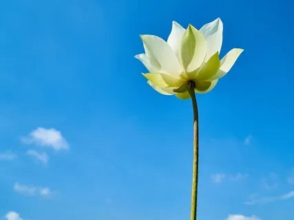 159: 4 Ways To Conquer Unproductive Expectations