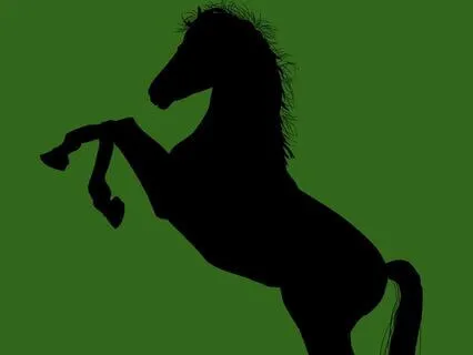 16 Black Beauty - Read By Stephanie Poppins