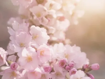 16-Minute Mindfulness Of Body Movement Guided Meditation