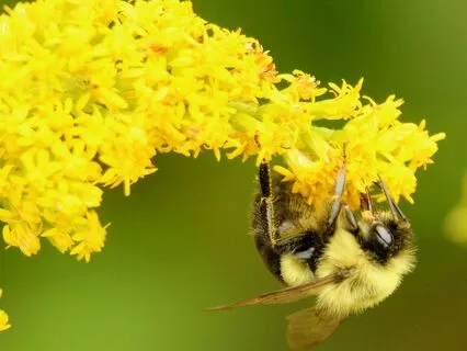 16 - Mother Earth Vibration | Law Of Attraction Music Series