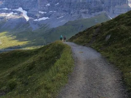 16 Psalms Of Pilgrimage (A Lectio Divina Of 1 Kings 8:22-28)