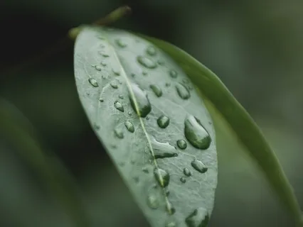 162 Hz - Frequencies For Deep Meditation