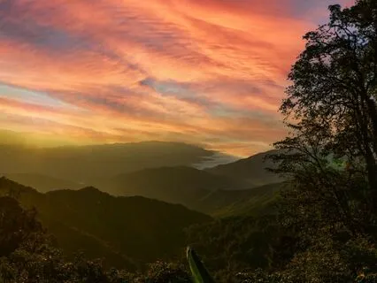 17/22 Channeled Energy Work Meditation: Djehuty & Metatron