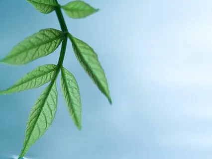 17-Minute Body Scan Meditation For Anxiety (With Music)