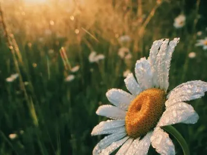 174 Hz Morning Music | Positive Energy Reset