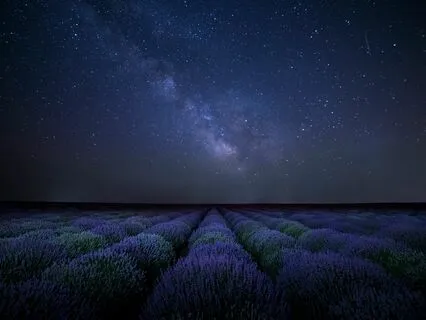 174 Hz Solfeggio Frequency Deep Blissful Sleep Delta Waves