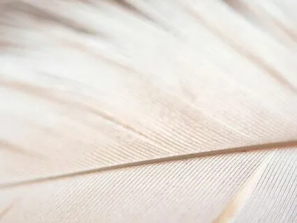 174 Hz Solfeggio Frequency Meditation For Pain Relief