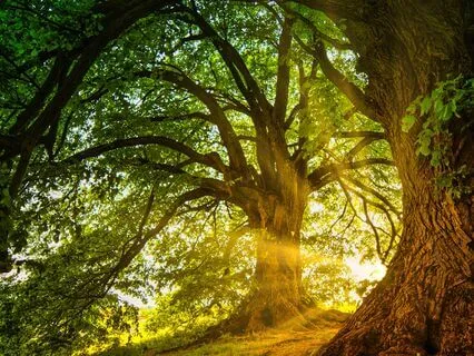 174 Hz Solfeggio Mystical Vibration