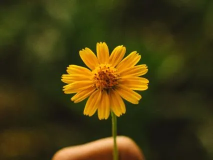 174 Hz Sound Healing for Pain Relief & Stability