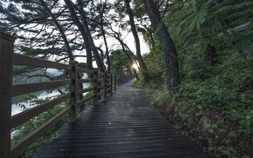 174Hz Misery Support Solfeggio Frequency