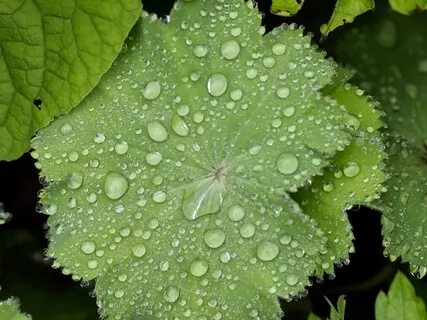 174Hz Tingle Mollification