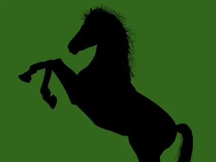 18/19 Black Beauty - Read By Stephanie Poppins