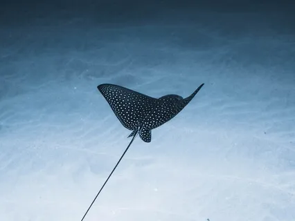 18 Lessons I Learned In 18 Years