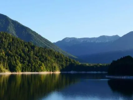 18-Min White Light Meditation For Energy Cleansing