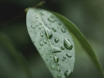 180 Hz - Frequencies For Deep Meditation