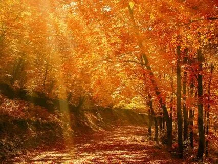 19/22 Channeled Energy Work Meditation: Djehuty & Metatron