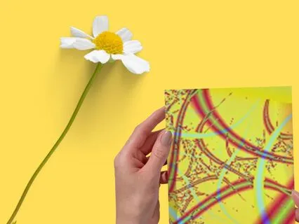 19. Intellectual: Relying On Your Intellect Not Just Emotion