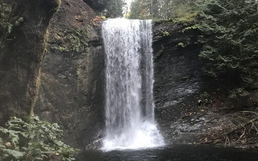 29 Minute Grounding Yoga Nidra | Earth Element