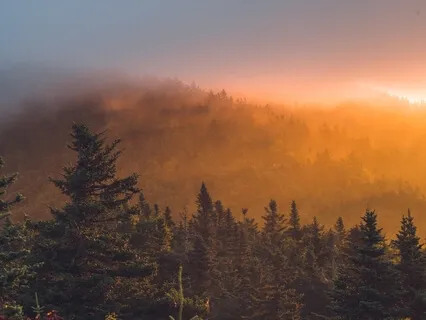 19. Searching For Meaning