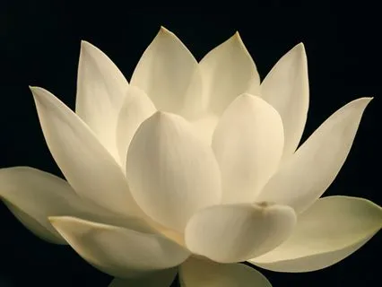 108× Aiṁ – Wisdom & Clarity Bīja Mantra Guided Practice