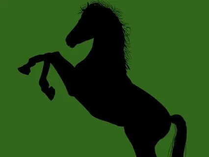 2 8 And 29 Black Beauty - Read By Stephanie Poppins