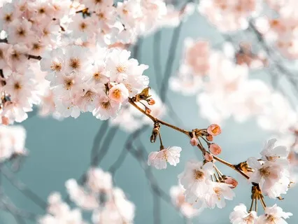 2A - Body Scan Meditation