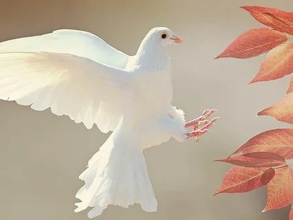 2.7 Quietude In Am (BCA)