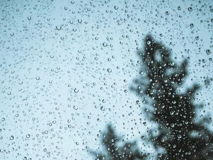 2-Hour Country Rain Symphony - Nature Sounds