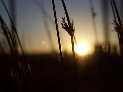 Two-Hour Healing Music For Improved Sleep