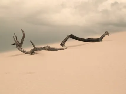 2 Hours Of Ambient Meditation