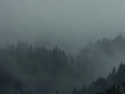 2 Hours Of Deep Sleep Inducing Delta Wave Rain Sounds