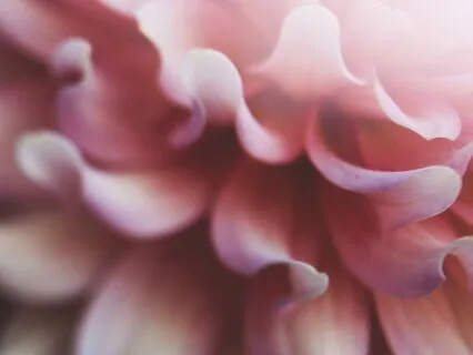 2 Min Morning: Honoring Your Inner & Outer Beauty