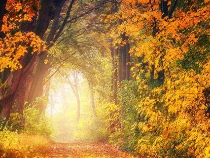 2-Min Seasons Of Change Prayer