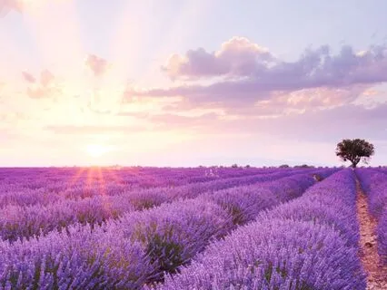 2-Minute Abundance Meditation: Expand & Receive