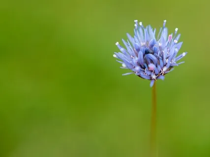 2-Minute Bell Practice