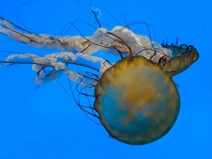 2-Minute Breathing Technique To Be Present