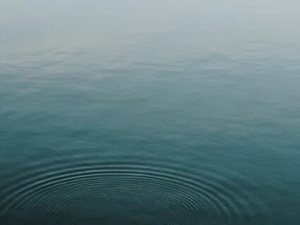 2-Minute Breathwork To Manage Reactivity And Stress