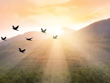 Digital Detox: Disconnect To Reconnect