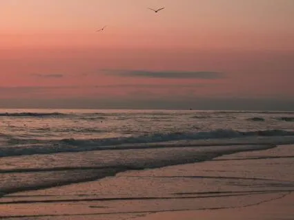 2-Minute Evening Calm | Bedtime Wind Down Meditation