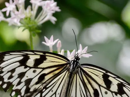 2 Minute Grounding: Soften Into Stillness