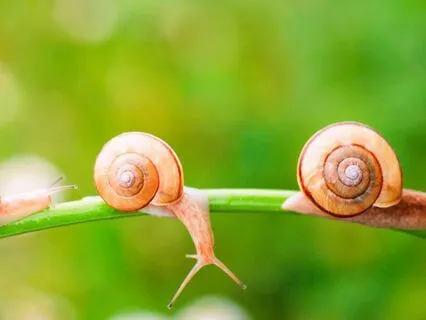 2-Minute 'Honor Your Pace' Morning Practice