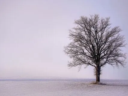 2-Minute Meditation: Embracing Quiet In A World Of Noise
