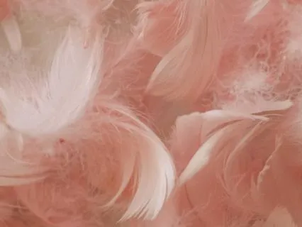2 Minute Meditation For Positivity ~ Pink Energy