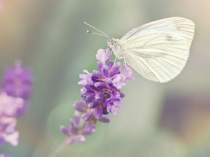 2-Minute Meditation: Notice The Beauty