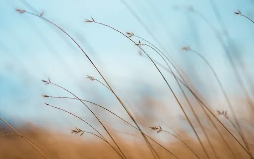 2-Minute Meditation To Find Calm