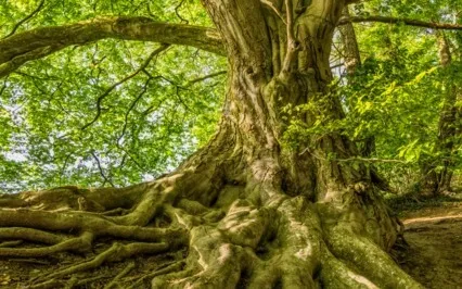 2 Minute Meditation To Root In Strength, Warmth & Energy