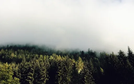 2 Minute Mindfulness