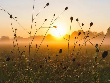 2 Minute Morning Prayer For Guidance