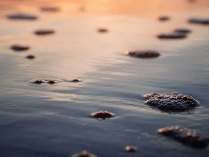 2-Minute Quick Grounding & Breath Awareness Meditation