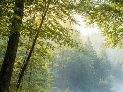 2 Minute Reset: Feeling Drained After Being Around People